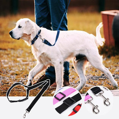 EverPaw — Sicheres Reisen für Hunde | 1+1 GRATIS