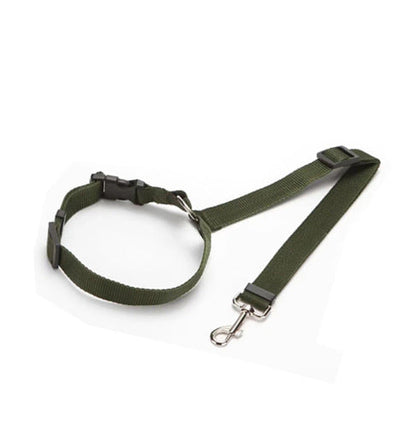 EverPaw — Sicheres Reisen für Hunde | 1+1 GRATIS