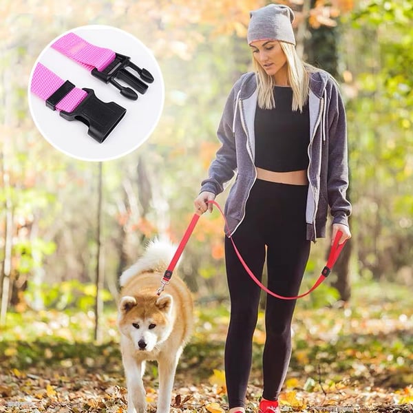 EverPaw — Sicheres Reisen für Hunde | 1+1 GRATIS
