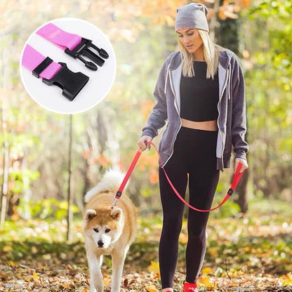 EverPaw — Sicheres Reisen für Hunde | 1+1 GRATIS