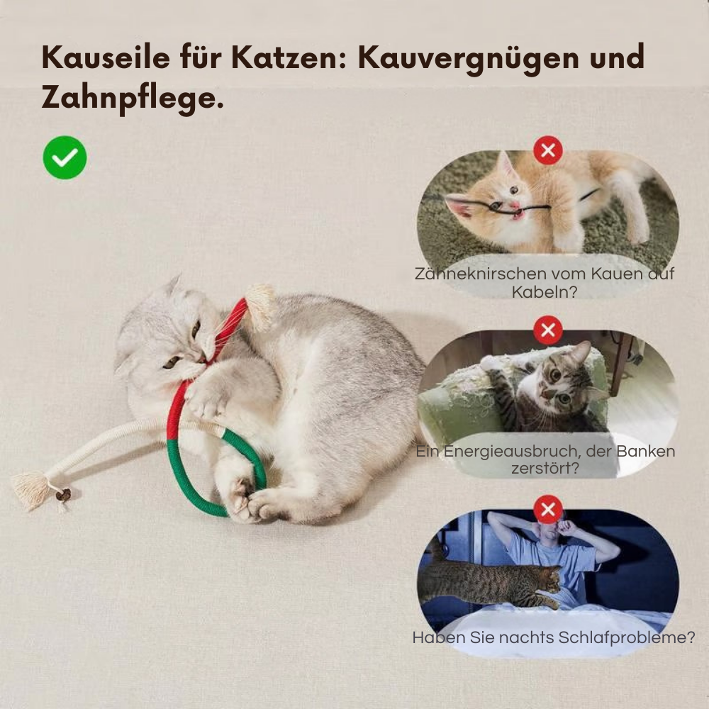 PurrPlay – Kauspielzeug für Katzen | 1+2 GRATIS