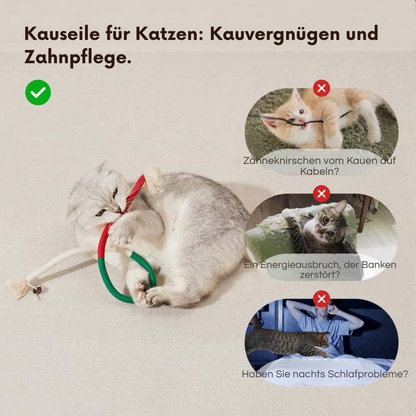 PurrPlay – Kauspielzeug für Katzen | 1+2 GRATIS