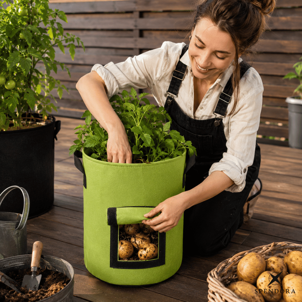 RootHarvest — Kartoffel-Pflanztaschen | 1+1 GRATIS