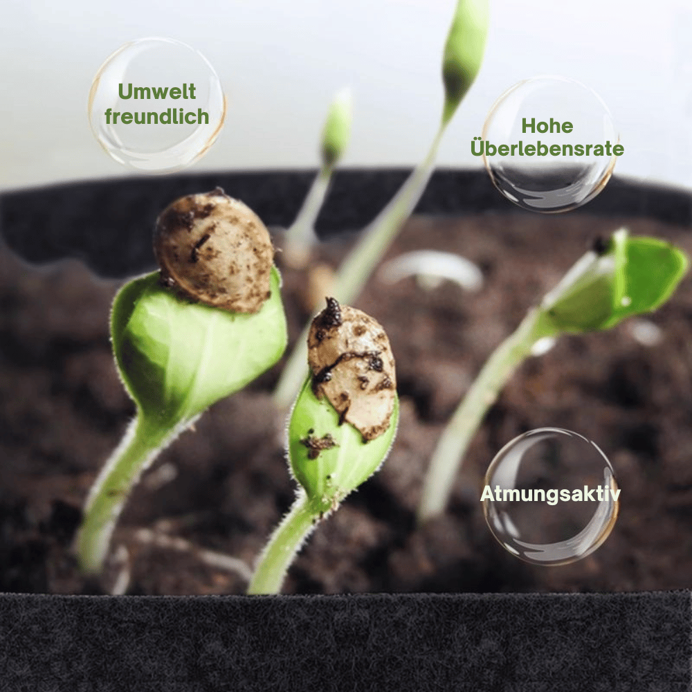 GeoRoot — Atmungsaktive Pflanzbeutel | 1+1 GRATIS