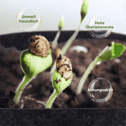 GeoRoot — Atmungsaktive Pflanzbeutel | 1+1 GRATIS