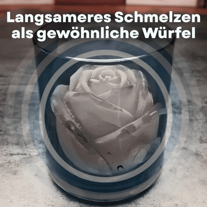 RoseChill — Romantische Eisform | 1+1 GRATIS