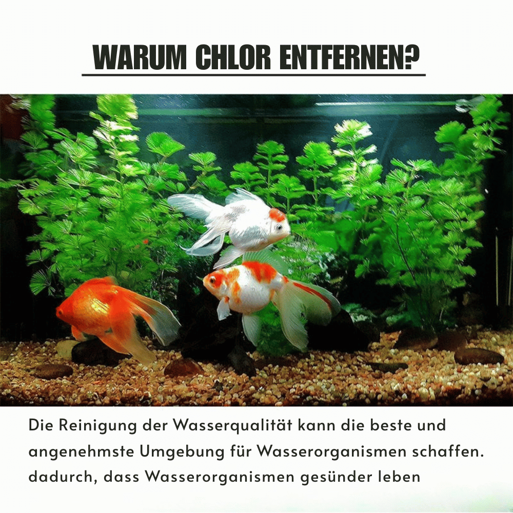AquaPure — Chlor-Abwehrtabletten | 1+1 GRATIS