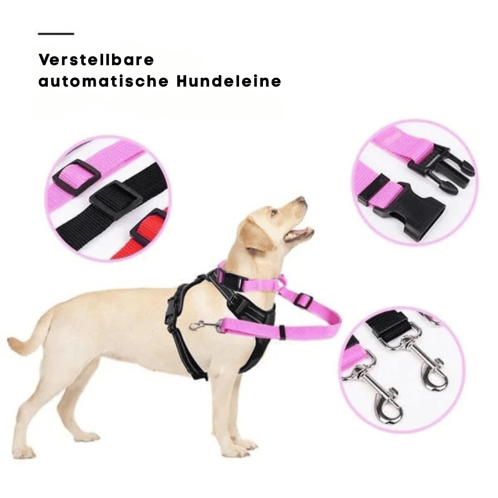 EverPaw — Sicheres Reisen für Hunde | 1+1 GRATIS