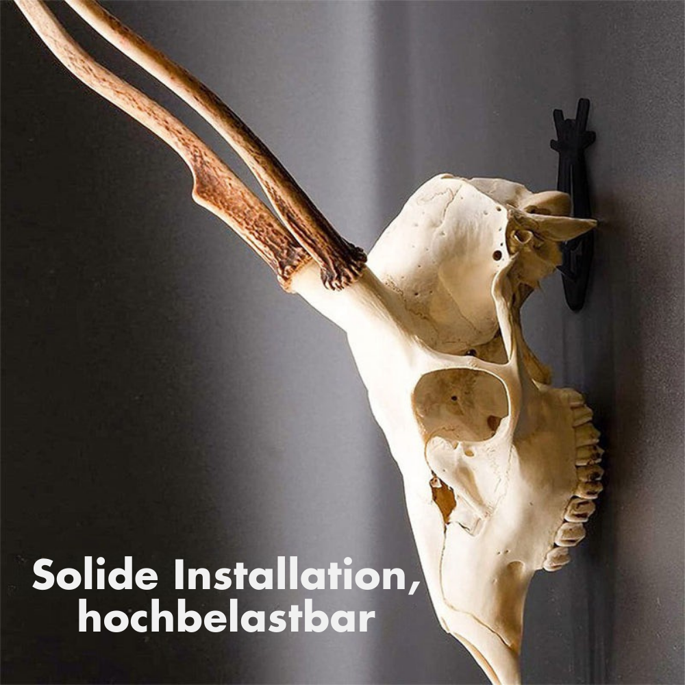 SkullMaster — Trophäen Selbstbewusstsein präsentieren | 1+1 GRATIS