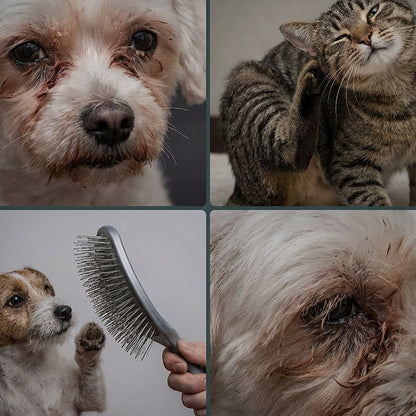 WhiskerWave — Tierpflegekamm | 1+1 GRATIS