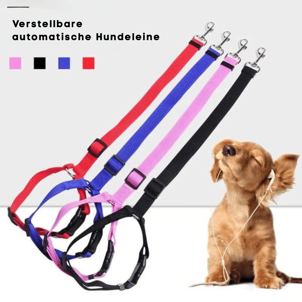 EverPaw — Sicheres Reisen für Hunde | 1+1 GRATIS