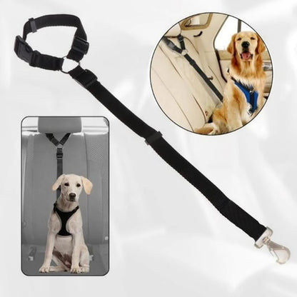 EverPaw — Sicheres Reisen für Hunde | 1+1 GRATIS