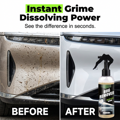VividShine Pro — Blitzsauberes Auto-Spray | 1+1 GRATIS