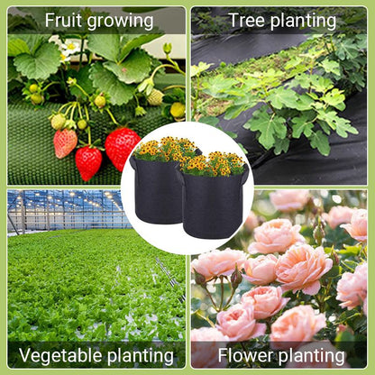 GeoRoot — Atmungsaktive Pflanzbeutel | 1+1 GRATIS