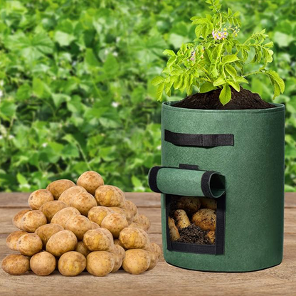 RootHarvest — Kartoffel-Pflanztaschen | 1+1 GRATIS