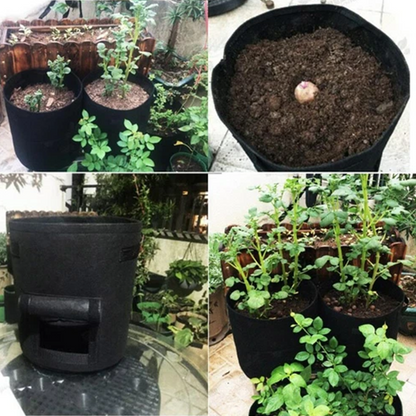 RootHarvest — Kartoffel-Pflanztaschen | 1+1 GRATIS