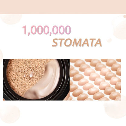 PerfectGlow - Wasserfeste, makellose Luftkissen-Foundation | 1+1 GRATIS