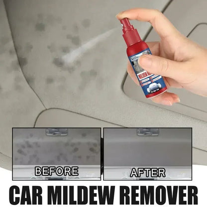 Auto-Schimmelentferner Spray | Für Innenraum Oberflächen | Schnell anwenden | MoldGuard