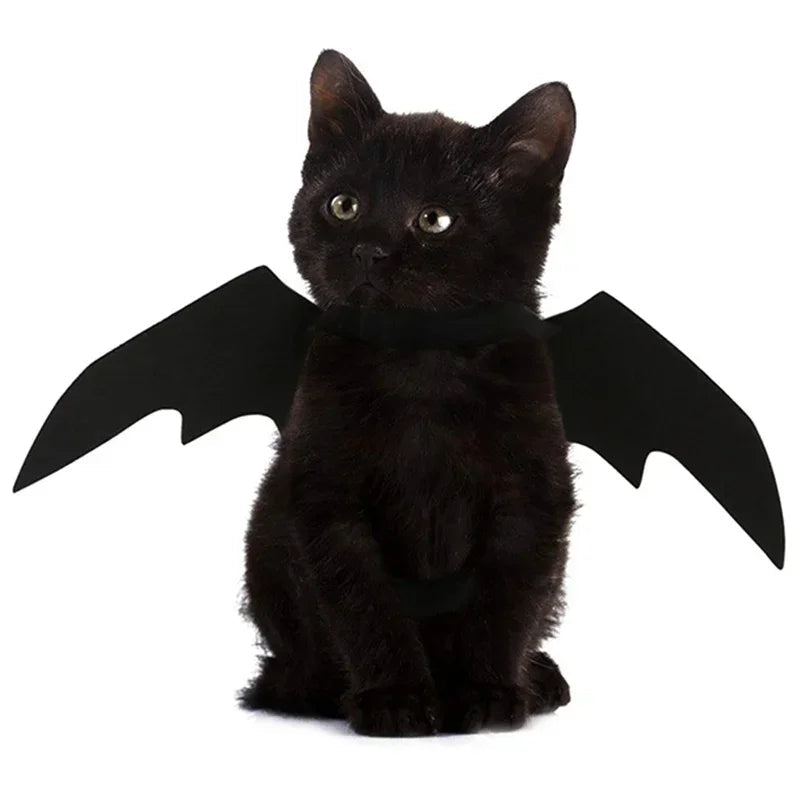 Haustier Kostüm Fledermausflügel Halloween | Verstellbar für Katzen und Hunde | Leichter Filzstoff, atmungsaktiv