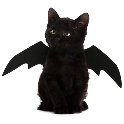 Haustier Kostüm Fledermausflügel Halloween | Verstellbar für Katzen und Hunde | Leichter Filzstoff, atmungsaktiv