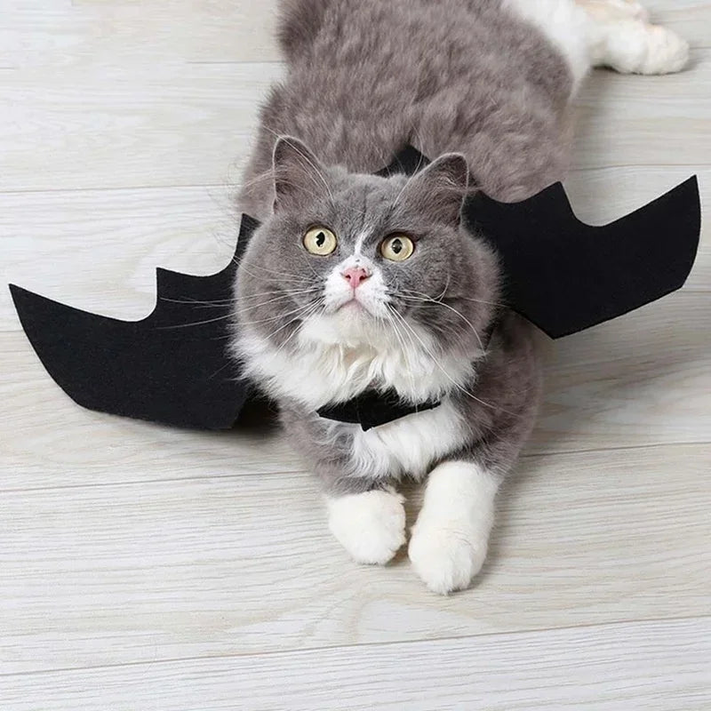 Haustier Kostüm Fledermausflügel Halloween | Verstellbar für Katzen und Hunde | Leichter Filzstoff, atmungsaktiv