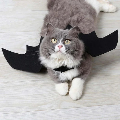 Haustier Kostüm Fledermausflügel Halloween | Verstellbar für Katzen und Hunde | Leichter Filzstoff, atmungsaktiv