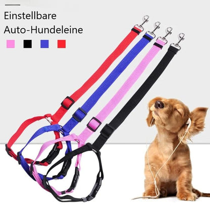 EverPaw — Sicheres Reisen für Hunde | 1+1 GRATIS