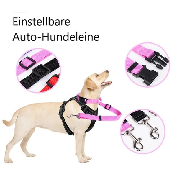 EverPaw — Sicheres Reisen für Hunde | 1+1 GRATIS