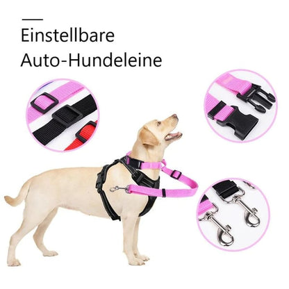 EverPaw — Sicheres Reisen für Hunde | 1+1 GRATIS