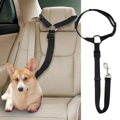 EverPaw — Sicheres Reisen für Hunde | 1+1 GRATIS