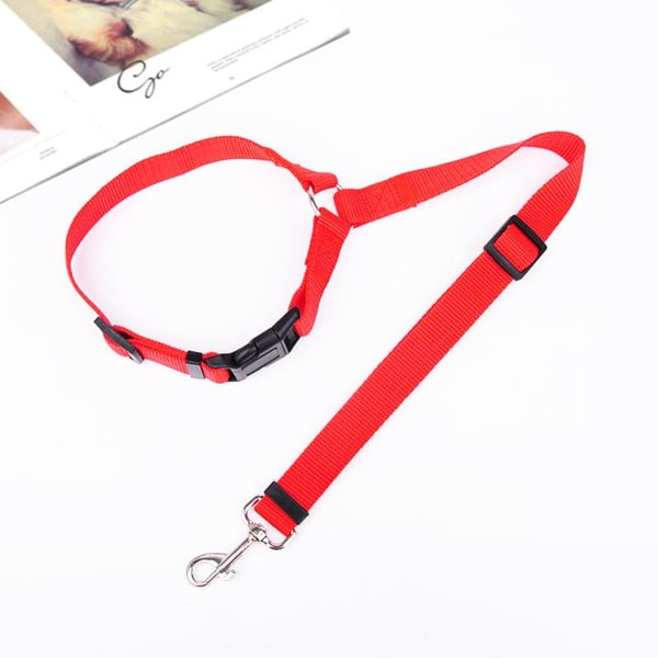 EverPaw — Sicheres Reisen für Hunde | 1+1 GRATIS