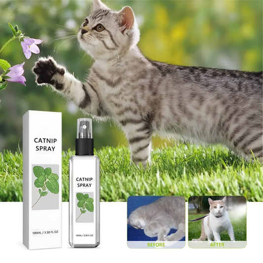 CatLure Spray – Katzen lieben es sofort | 1+1 GRATIS