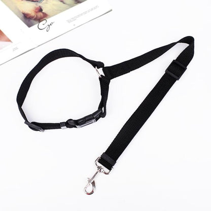 EverPaw — Sicheres Reisen für Hunde | 1+1 GRATIS
