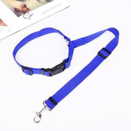 EverPaw — Sicheres Reisen für Hunde | 1+1 GRATIS