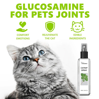 CatLure Spray – Katzen lieben es sofort | 1+1 GRATIS