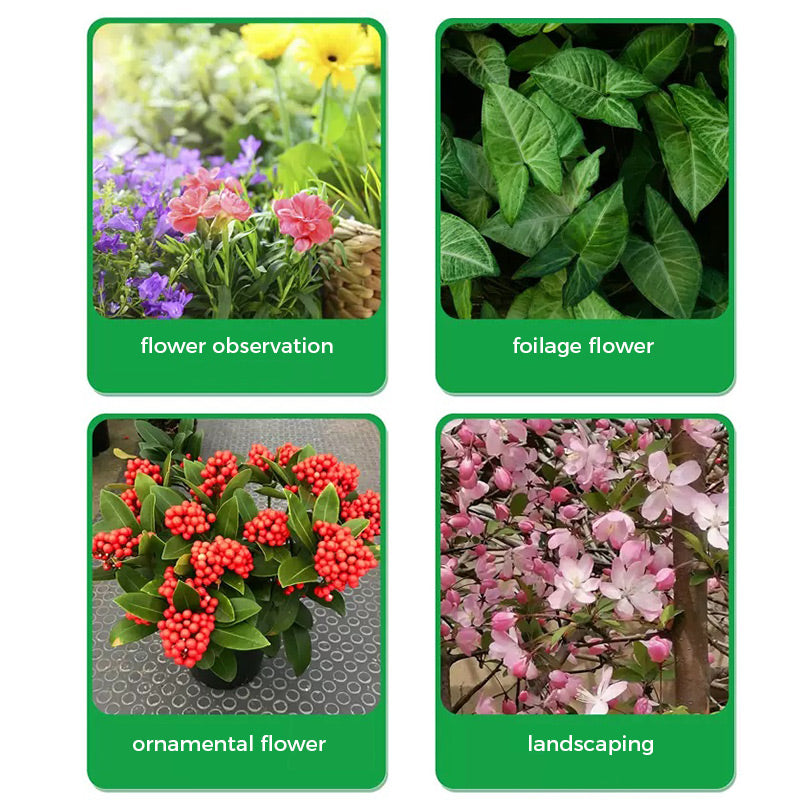 GreenBloom – Schnellwurzel- & Blühpulver | 1+1 GRATIS
