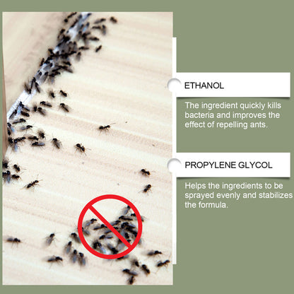 AntAway™ Starkes Ameisenspray | 1+1 GRATIS
