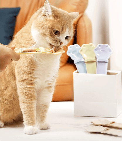 CatSnackPro – Katzennahrungslöffel für Leckerlis | 1+1 GRATIS