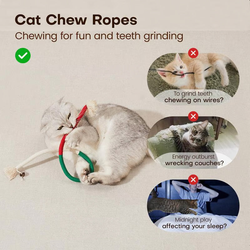 PurrPlay – Kauspielzeug für Katzen | 1+2 GRATIS