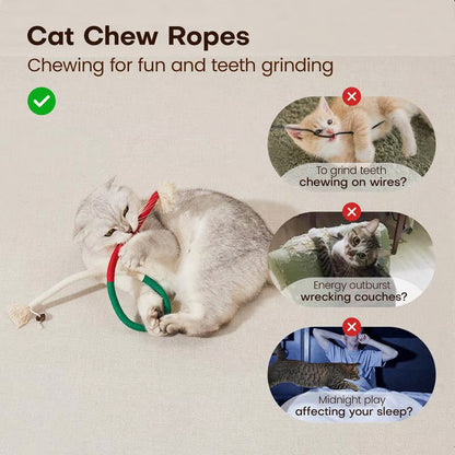 PurrPlay – Kauspielzeug für Katzen | 1+2 GRATIS